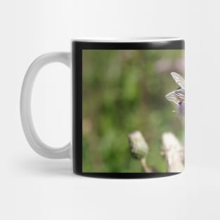 Bee With Red-brown Eyes Mug